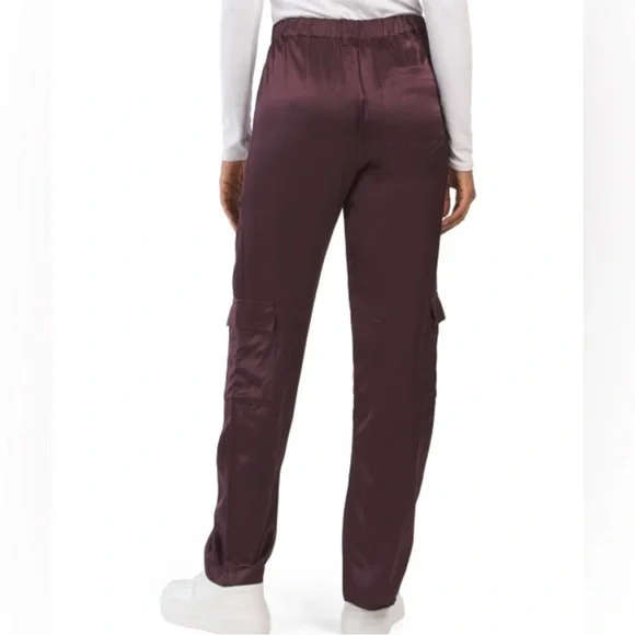 NWT Young Fabulous & Broke Findlay Satin Cargo Carpenter Pants in Raisin - M - Picture 2 of 16